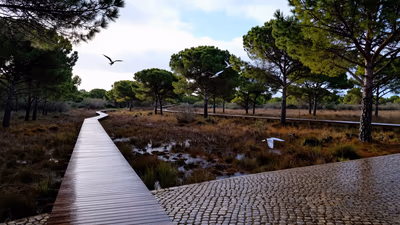 Concurso Abierto y Permanente Consejería Sostenibilidad Andalucía 2026