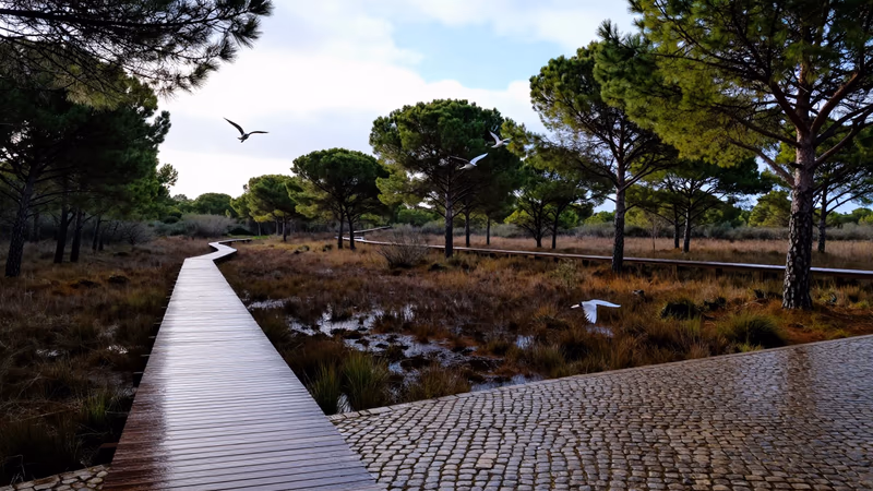 Concurso Abierto y Permanente Consejería Sostenibilidad Andalucía 2026