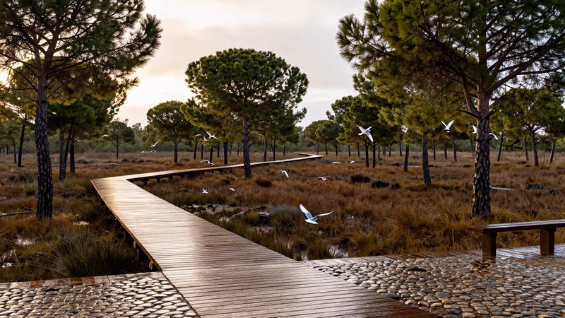 Modificación Tribunal Ingenieros de Minas del Estado 2026