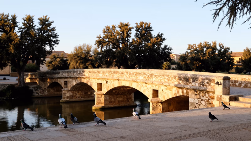 Oposición Técnico Especialista de Administración UEx 2026: Convocatoria