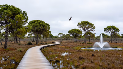 Oposición Técnico/a Medio Ambiente Sant Llorenç des Cardassar 2026: 1 plaza
