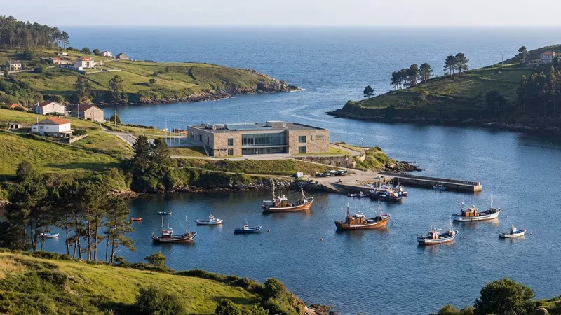 Plazo posesorio Auxiliares de Cuidadores Galicia 2026: Escala Técnica